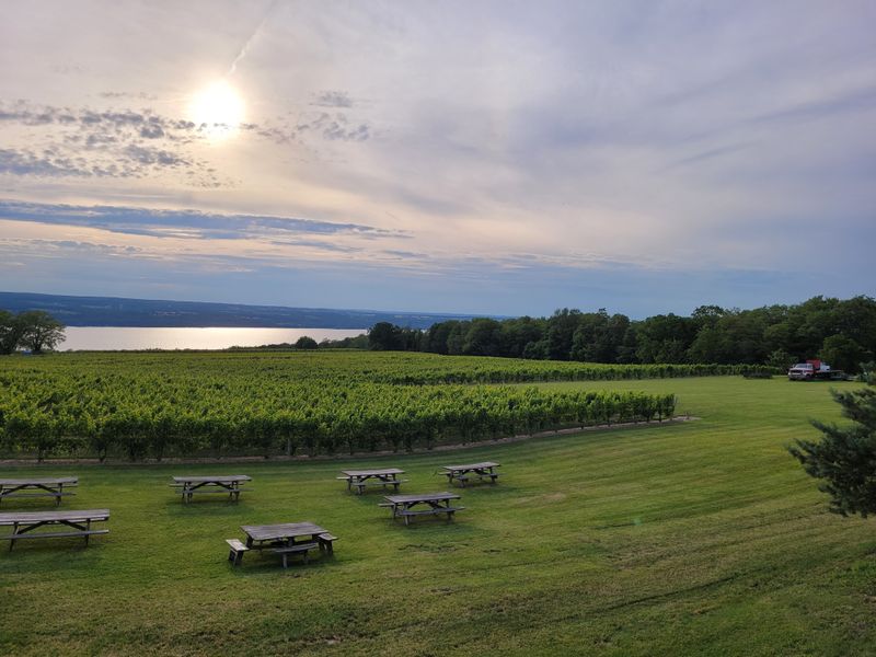 Seneca Lake: Deepest and Most Winery-Dense