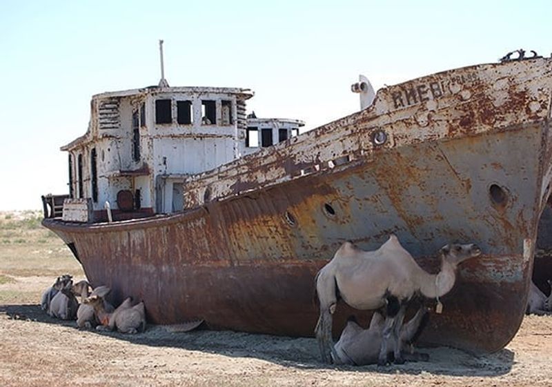 Collapse of the Fishing Industry