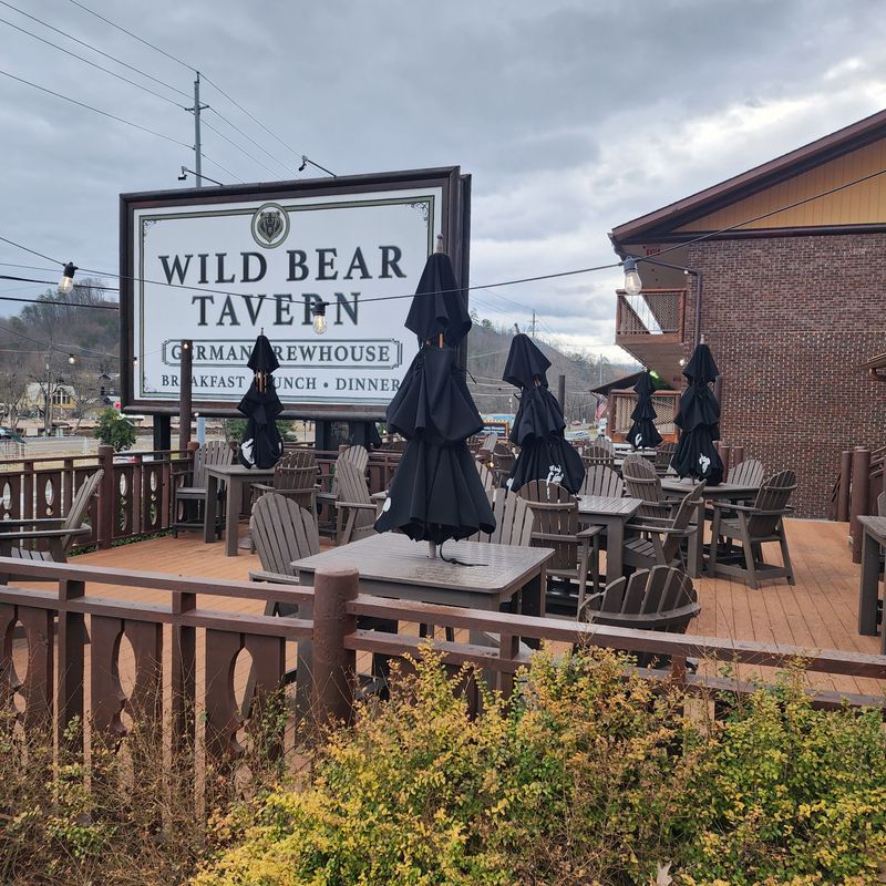 Pet Friendly Patio Moments