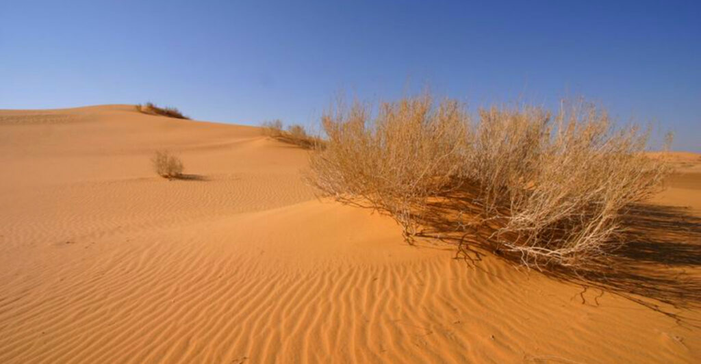 From Desert to Shortage: Saudi Arabia and the UAE Are Buying Sand From Overseas