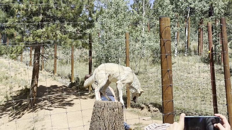 What Your Ticket Supports