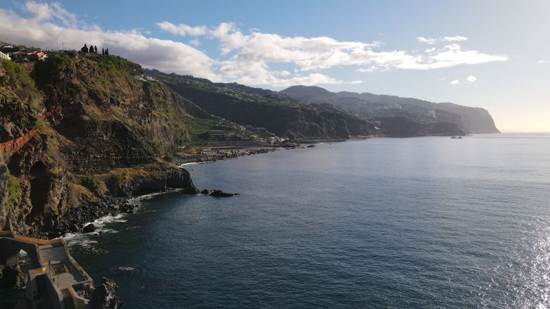 The Island Is a Whale and Dolphin Hotspot