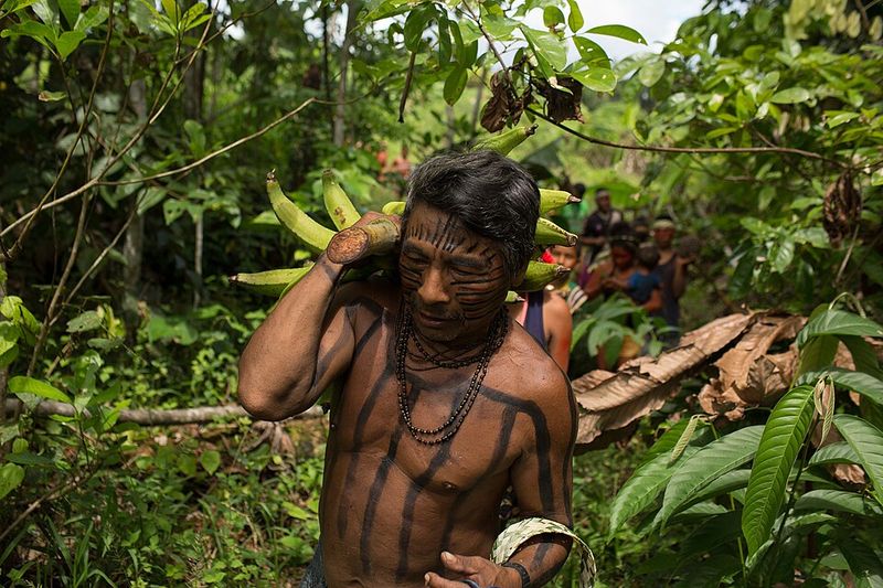 Vale do Javari, Brazil — Deep Amazonian Wilderness