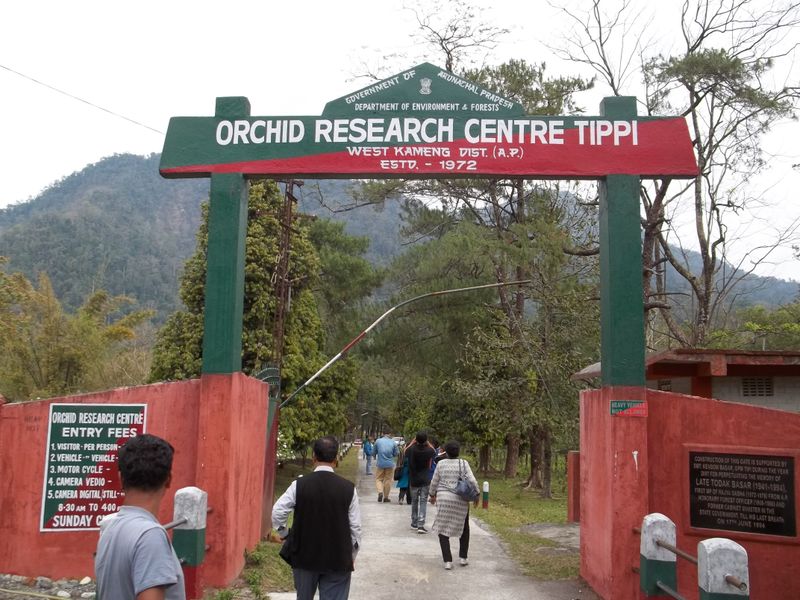 Arunachal Pradesh, India — Biodiversity Hotspot & Orchid Capital
