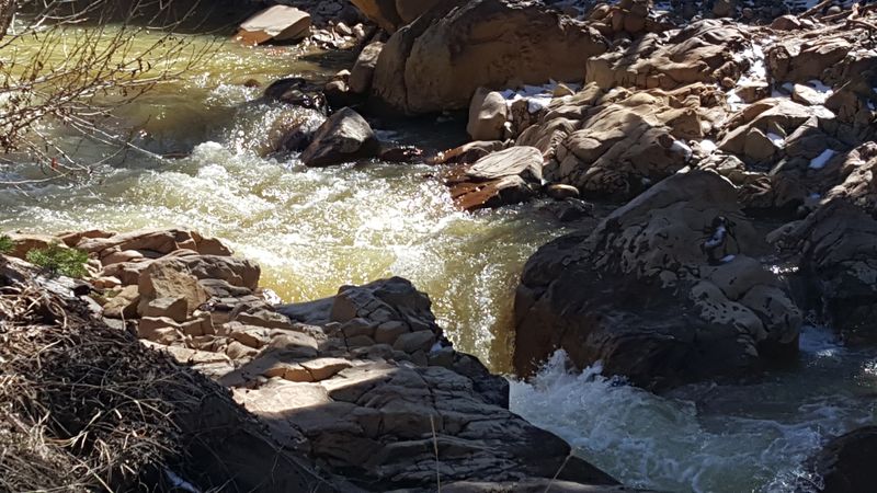 Uncompahgre River Moments