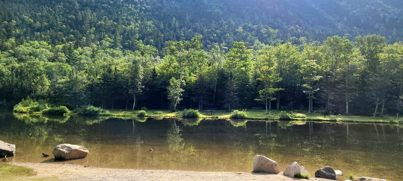 Community, Clubs, And Quiet Traditions