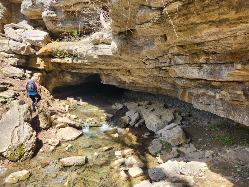 Cave closures and bat protection