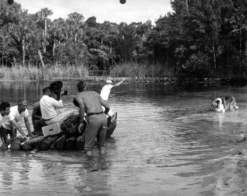 Lassie (1954–1974)