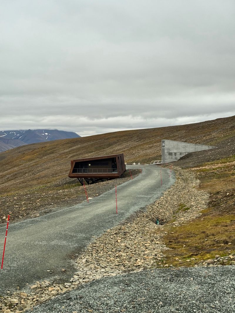 TIME Recognition in 2008