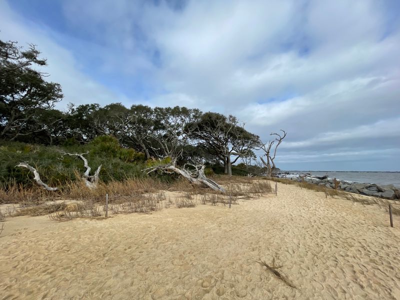 Beachcombing on South Dunes