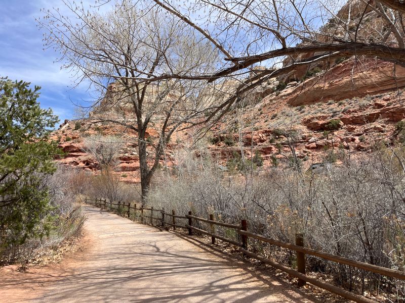 Calf Creek Falls Day Hike