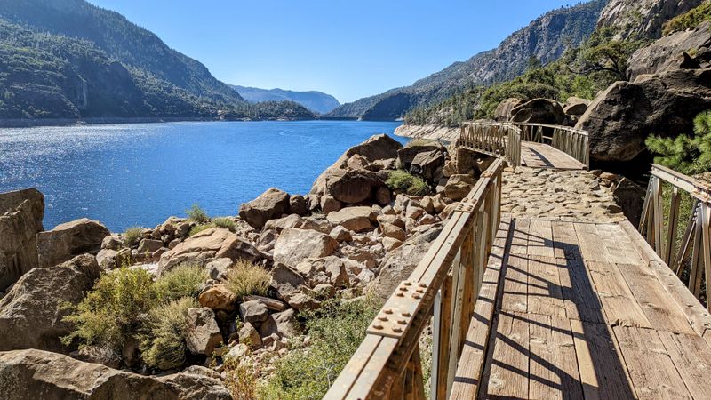 Evening Golden Trout From The Shore
