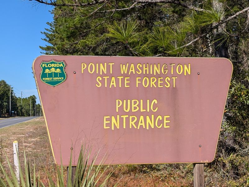 Point Washington State Forest