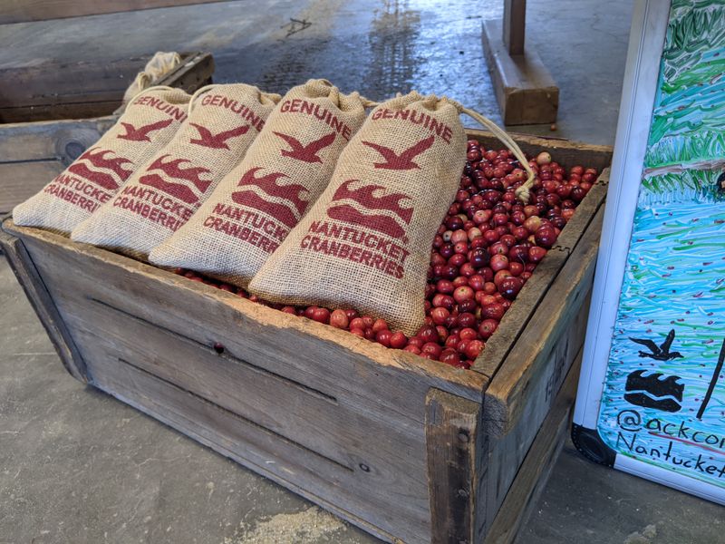 Cranberry Bogs at Milestone