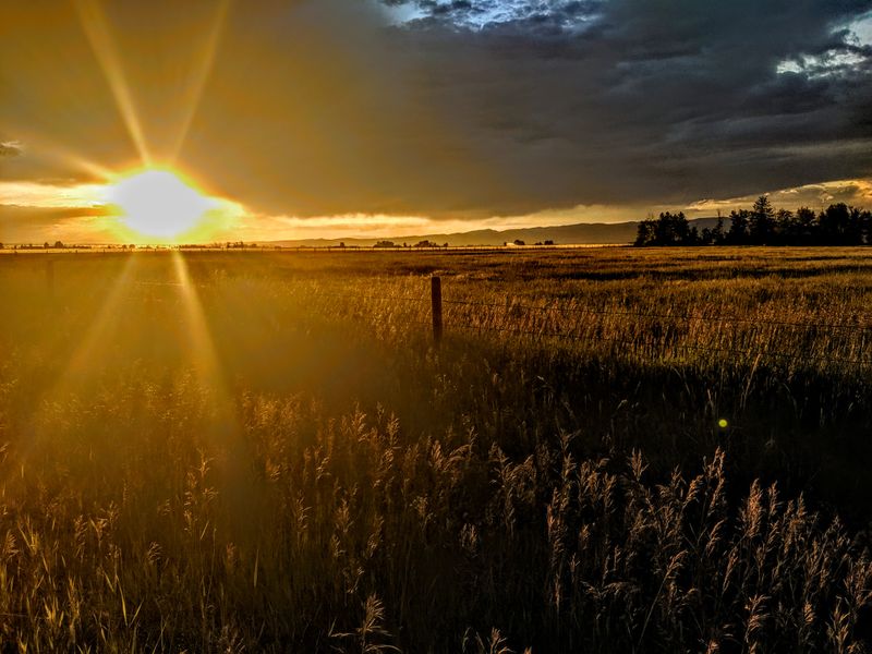 Outdoor Access And Playtime