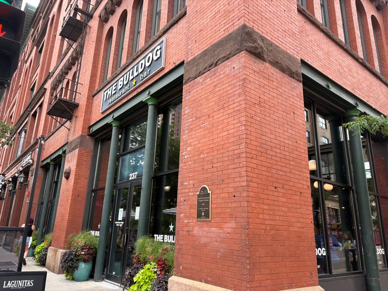 The Bulldog Lowertown (St. Paul)