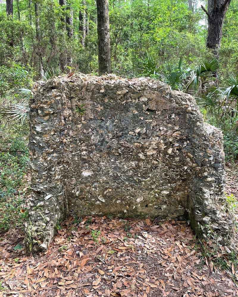 Tabby Ruins And Oyster Stories