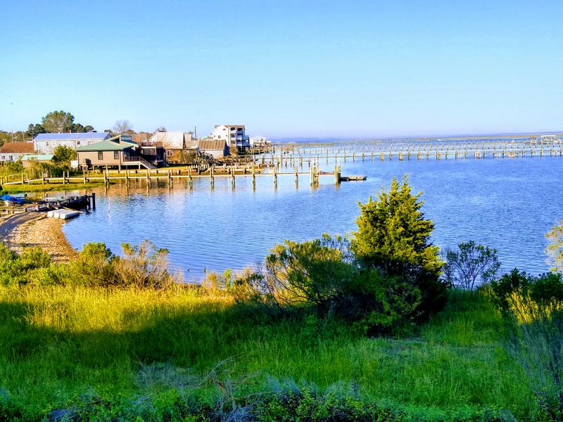 Chincoteague, Virginia