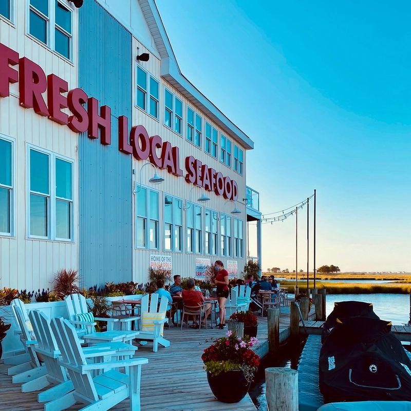 Catch 54 (Selbyville / Fenwick-area)