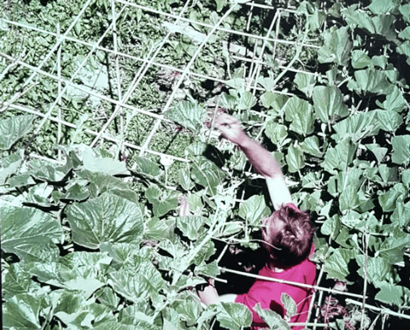 Patience And Persistence