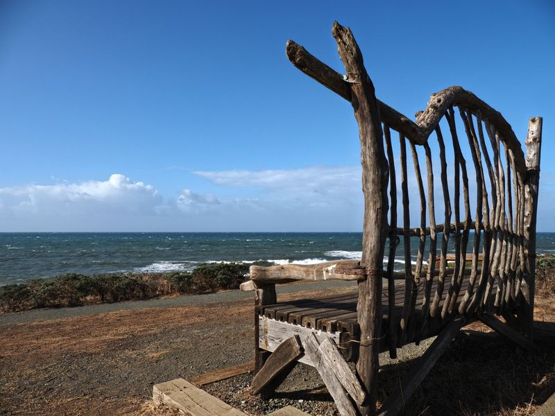 Fiscalini Ranch Preserve