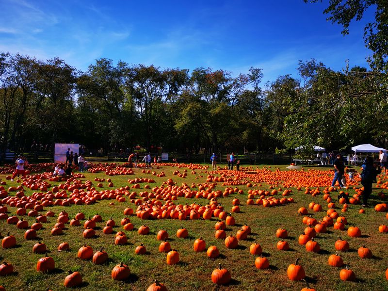 Festivals and Seasonal Events