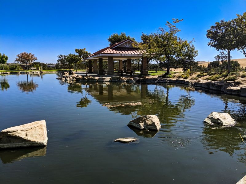 Outdoor Moments: Oaks, Trails, And Sunset Light