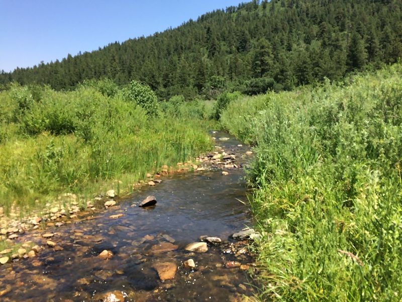 Coyote Creek Trail – New Mexico
