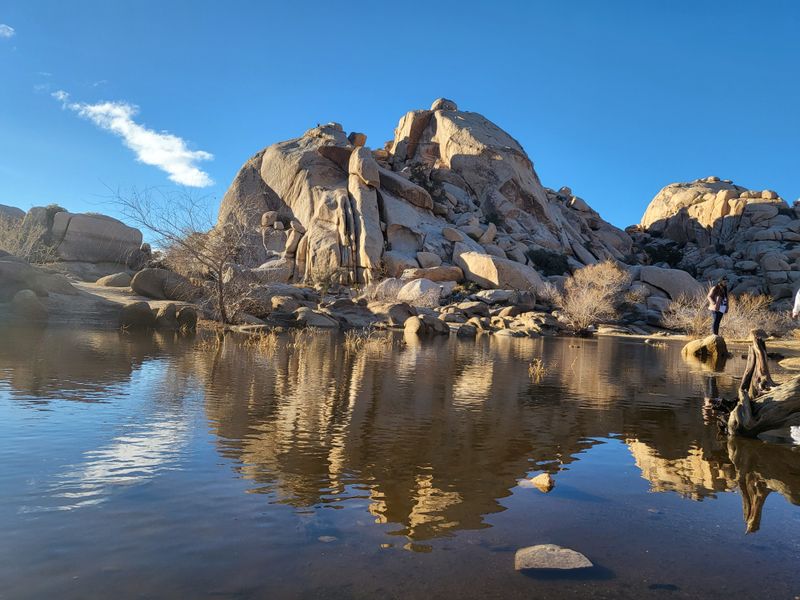 Barker Dam Trail (yes, there's history out here)