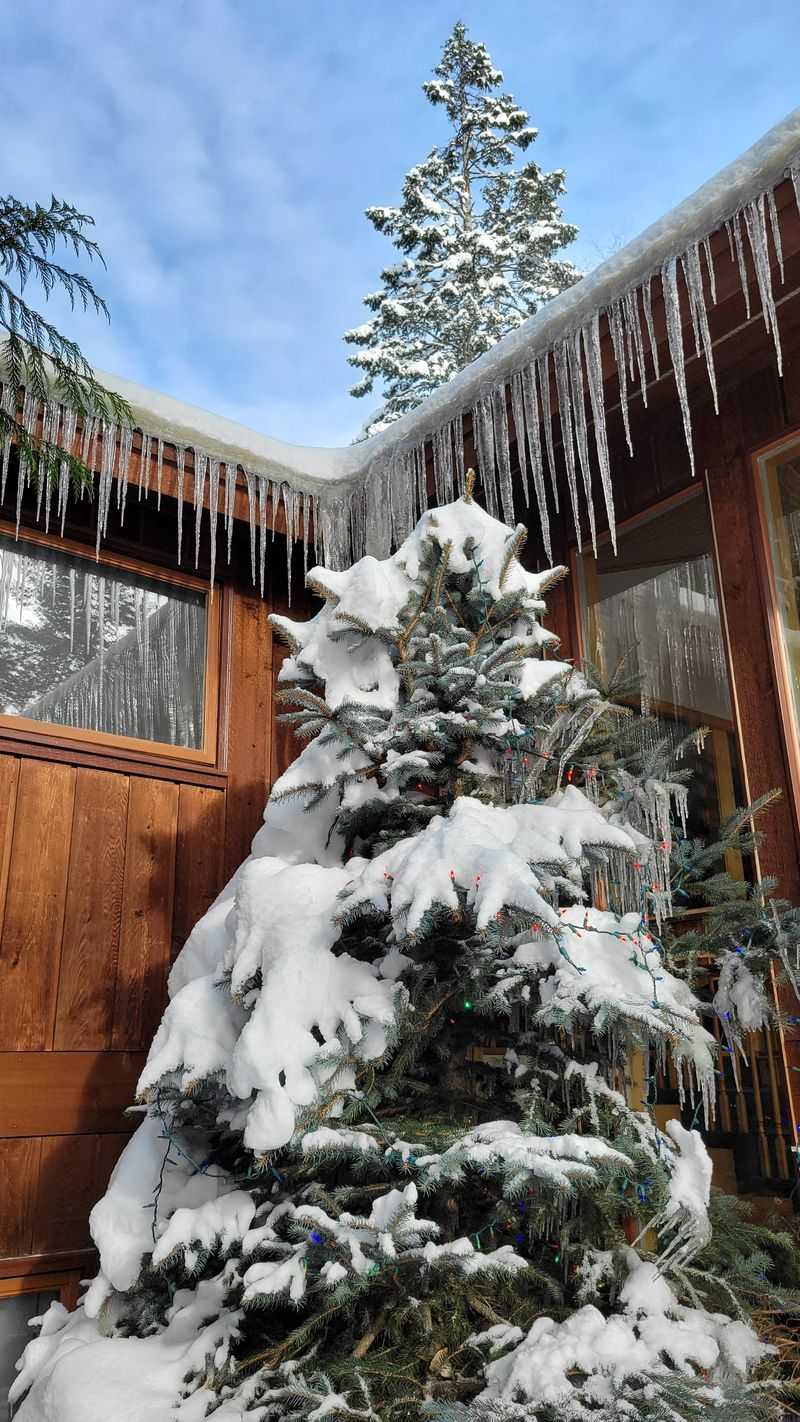 Four Seasons That Keep Life Interesting