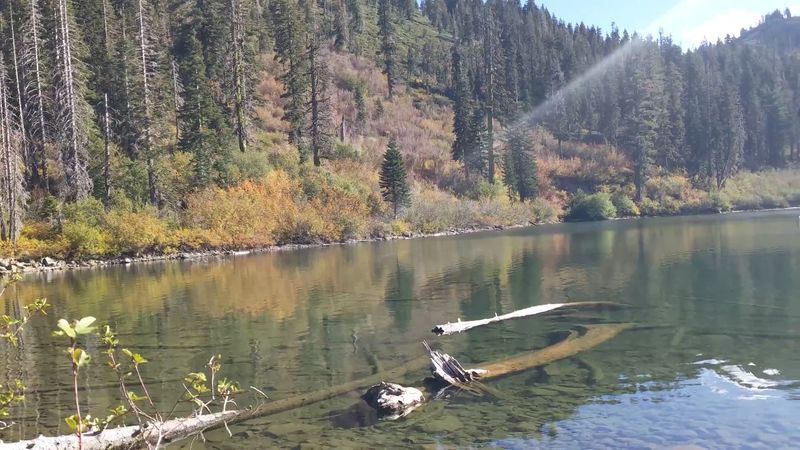 Fall Brings Stunning Color Contrast