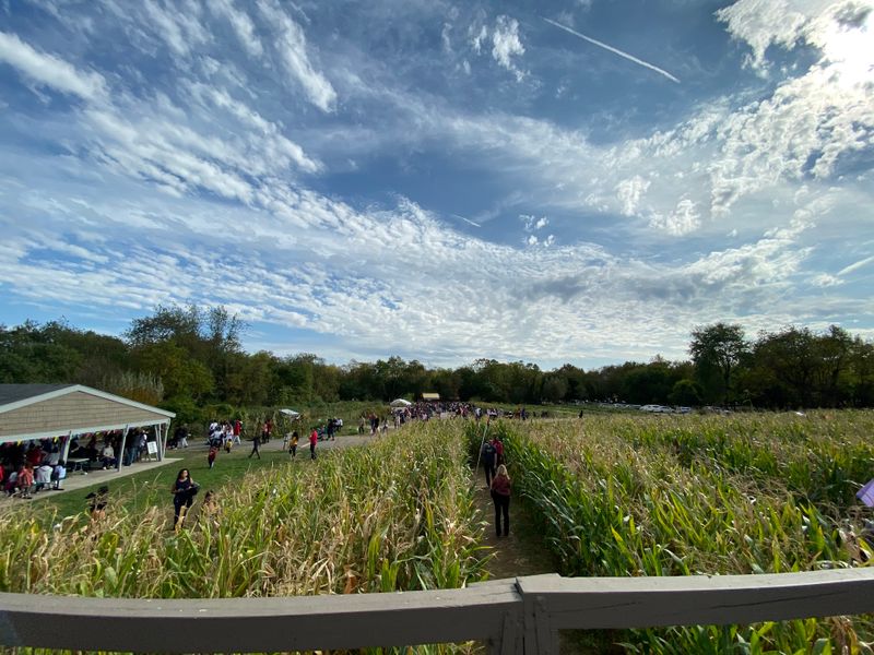 Seasonal Hayrides Across the Fields