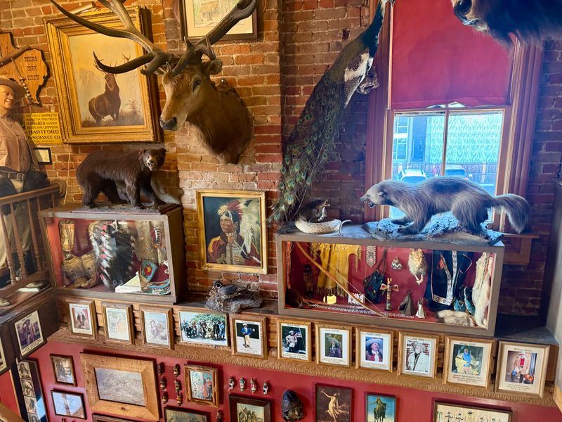 Presidential and Celebrity Guests