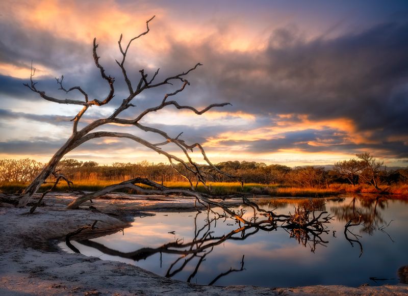 Driftwood Beach Sunrise