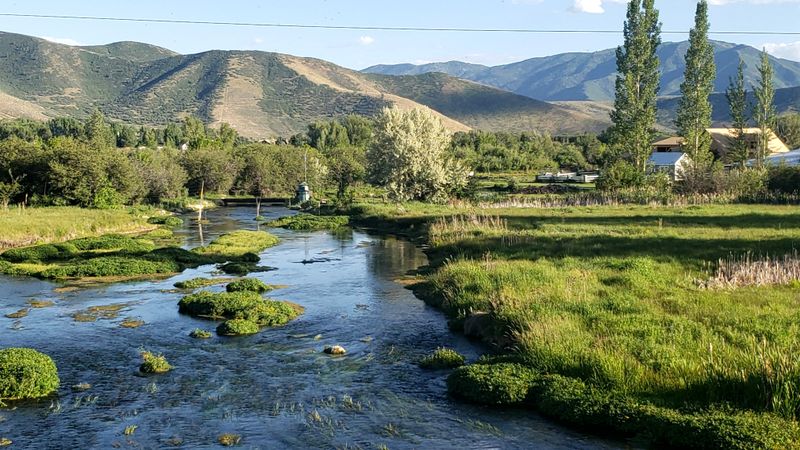 Provo River Fly Fishing
