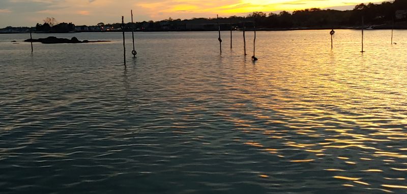 Bird Watching & Nature