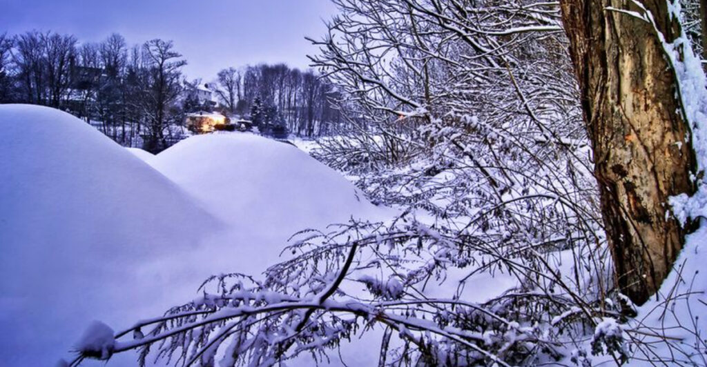 Historic January 2026 Winter Storm Threatens Snow and Ice Across More Than 35 States – Millions in Path of Major Weekend System