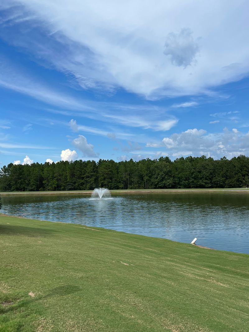 Riverview Picnic Spots