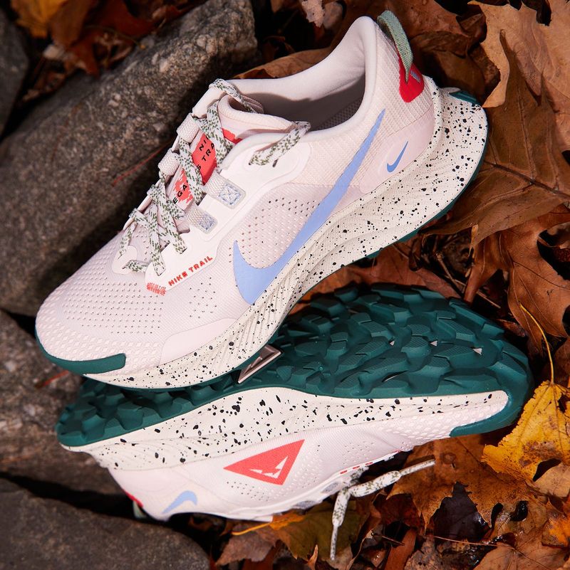 Nike Pegasus Trail 3