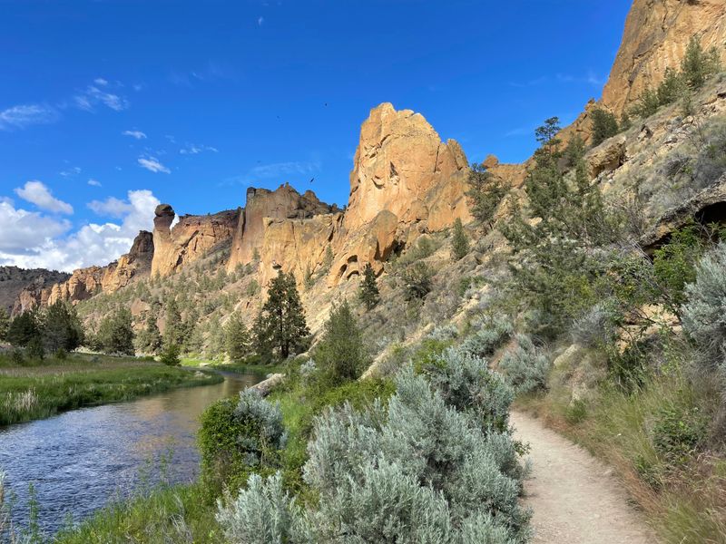 Hiking Trails for All Levels