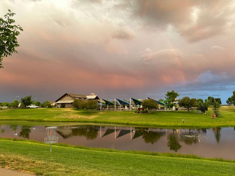 Community events and everyday culture