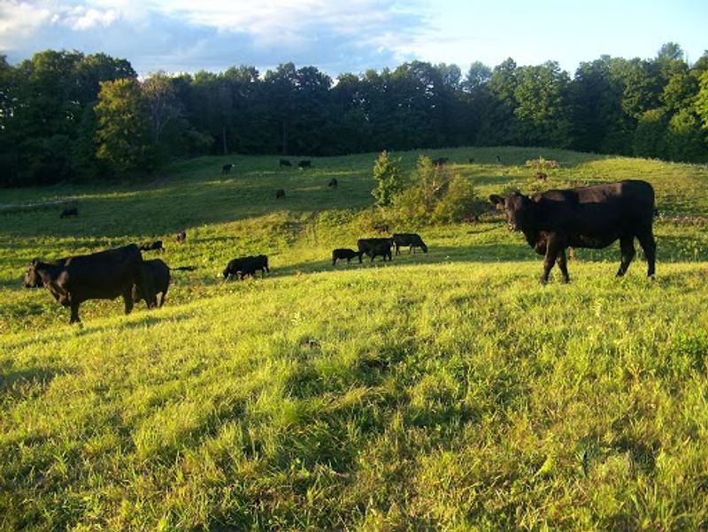 Ingredients Grown Steps From Your Seat