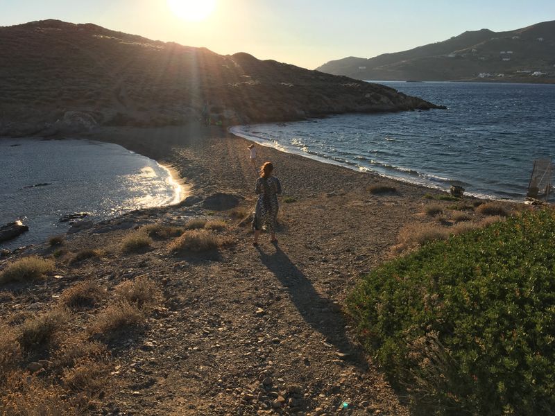 What Syros Cats provides