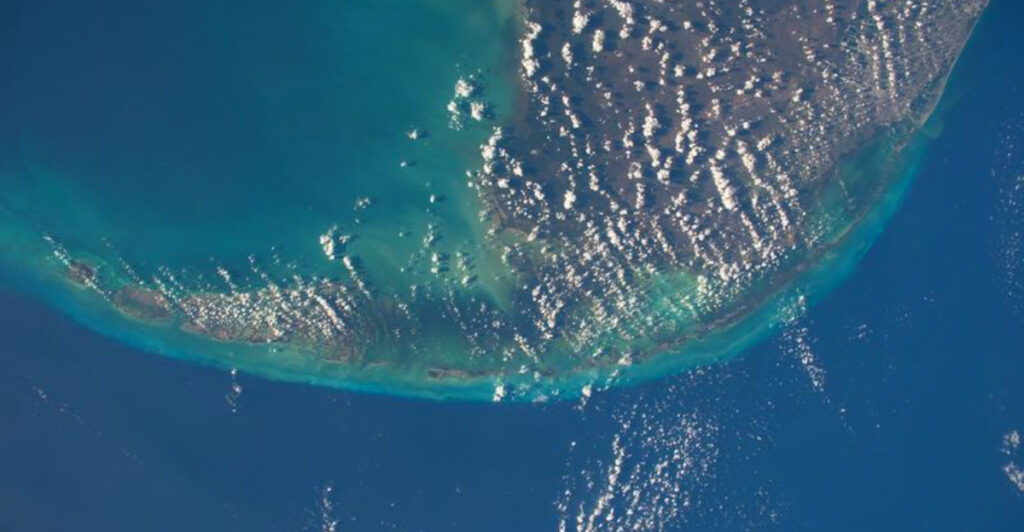 Humanity May Have Found Its Greatest Treasure Beneath the Sea