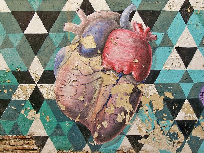 The Heart Is the Sole Driver of Circulation