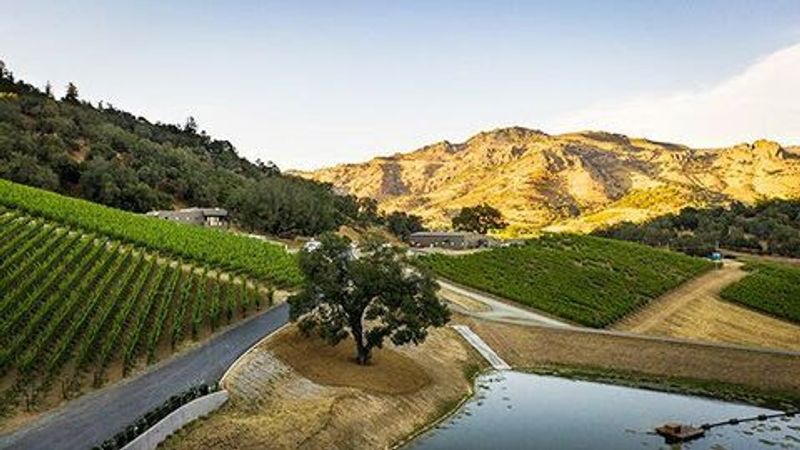 Realm Cellars — Napa Valley, California