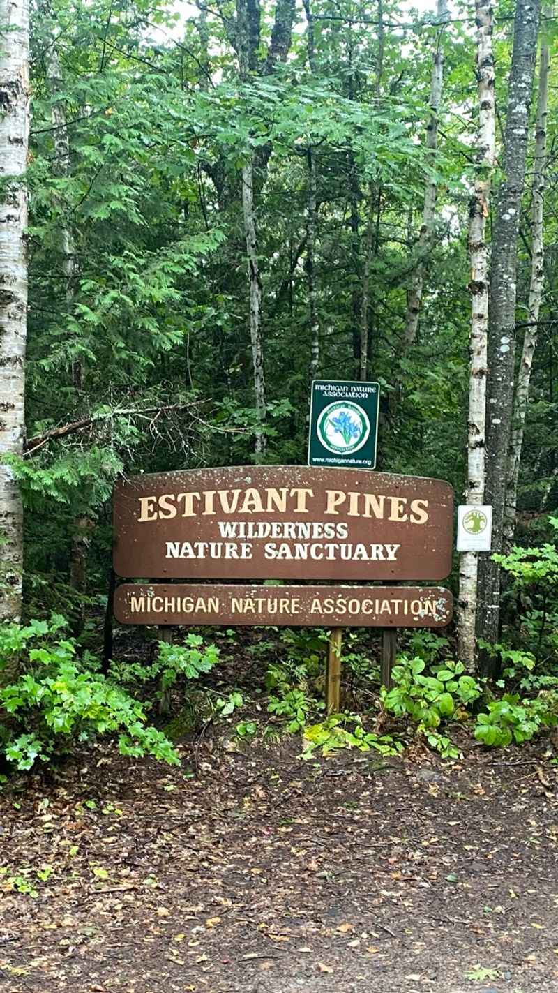 Estivant Pines Nature Sanctuary
