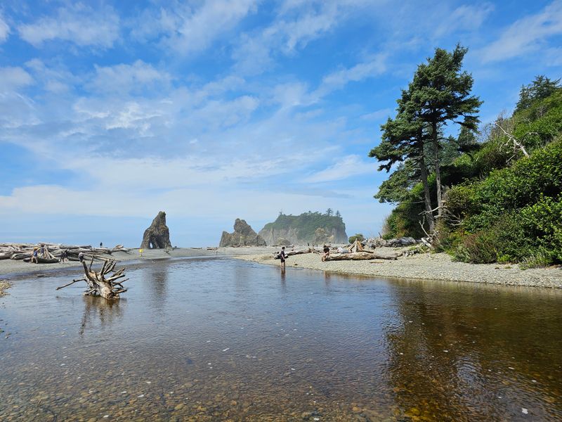Shi Shi Beach and Point of Arches