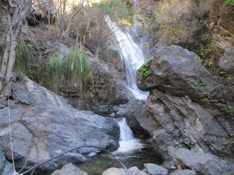 Soberanes Canyon Redwood Shade
