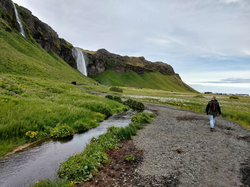 Þórólfur's Optimism